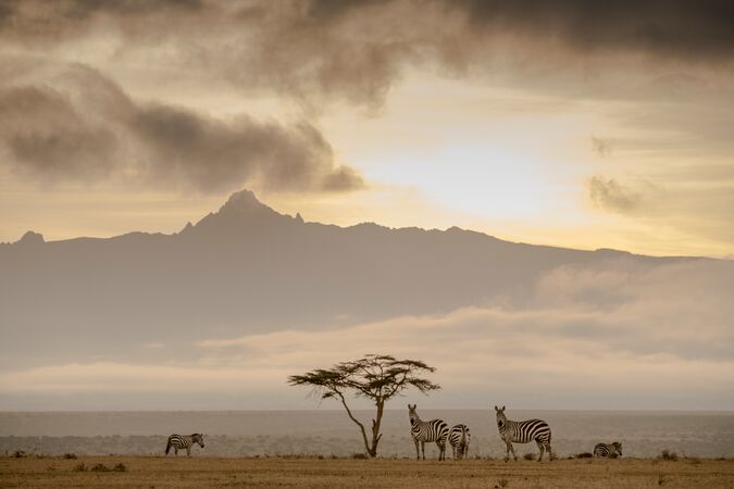 plains of africa with zepbra and sunrise