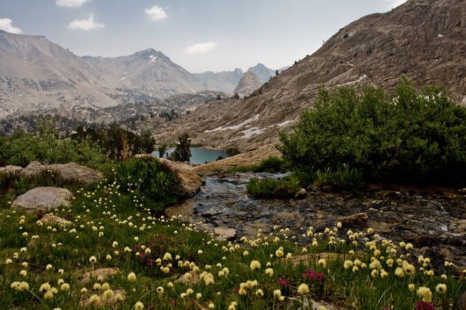 mountain valley with lake and wild flowers